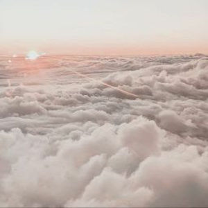 Meet your Posher, Margarita